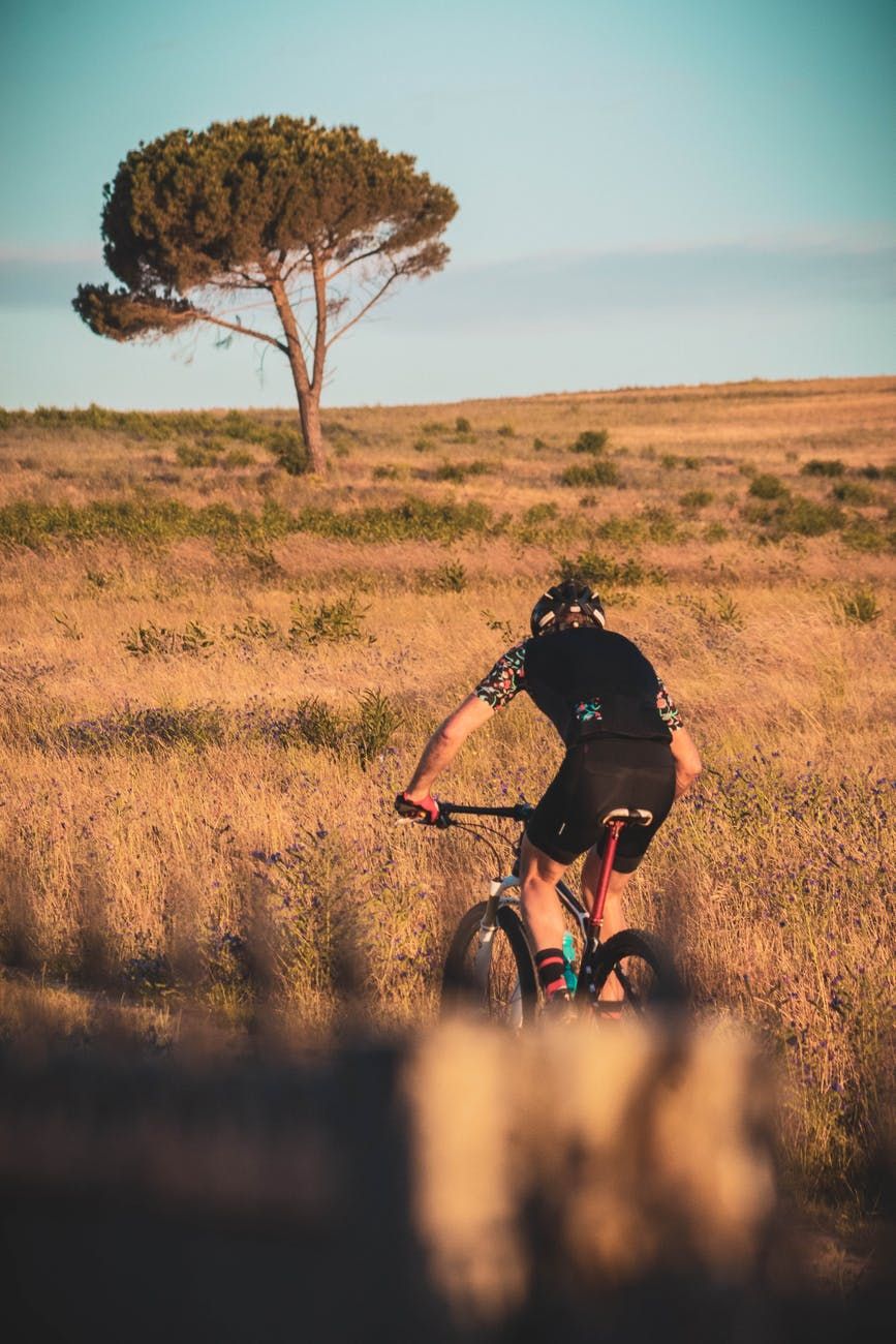In onze groene omgeving kun je prachtige fietstochten maken