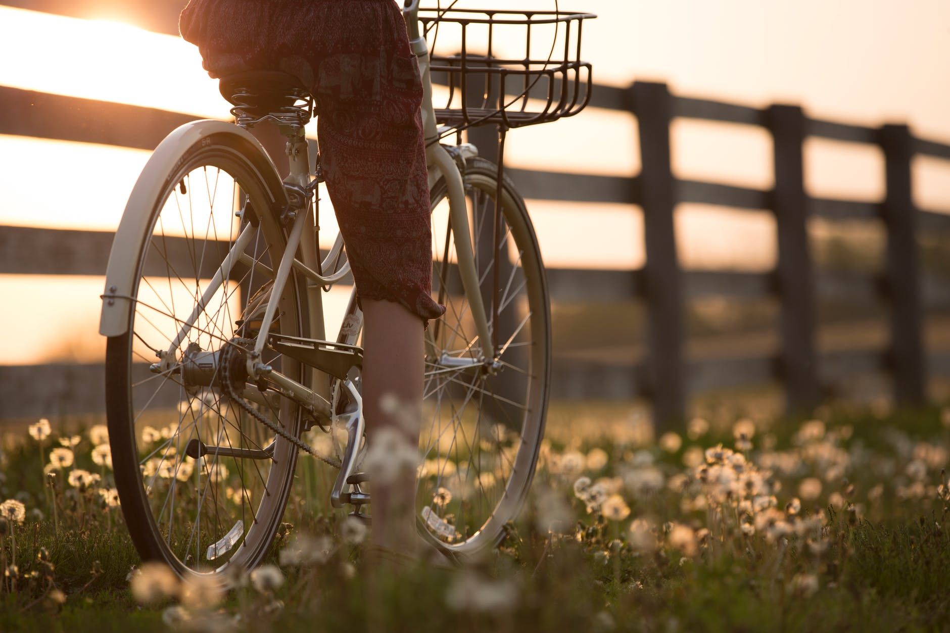Fervente fietsers vinden ongetwijfeld hun gading in de omgeving van onze B&B!